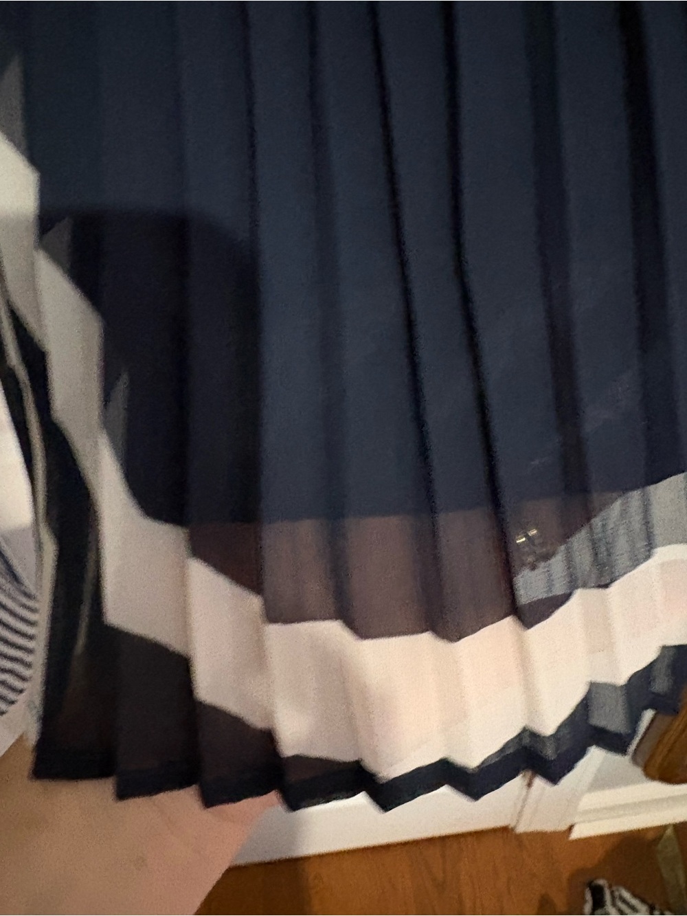 Anthropologie Navy and White Pleated Maxi Skirt - Picture 3 of 3